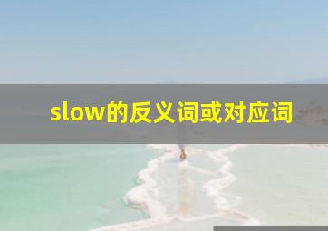 slow的反义词或对应词