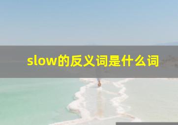 slow的反义词是什么词