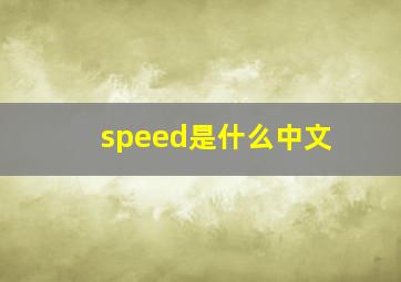 speed是什么中文