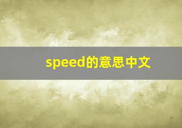 speed的意思中文