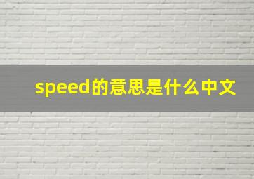 speed的意思是什么中文