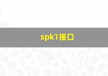 spk1接口