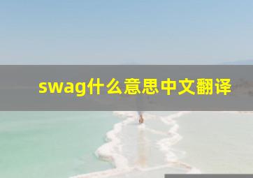 swag什么意思中文翻译