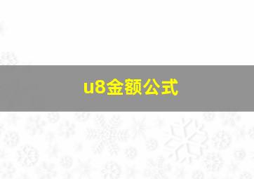 u8金额公式