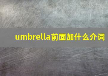 umbrella前面加什么介词