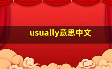 usually意思中文