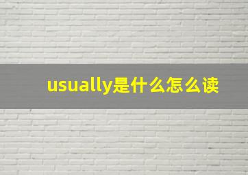 usually是什么怎么读