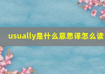 usually是什么意思译怎么读