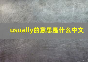 usually的意思是什么中文