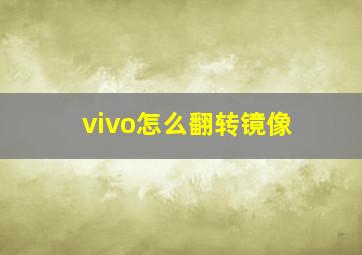 vivo怎么翻转镜像