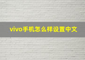 vivo手机怎么样设置中文