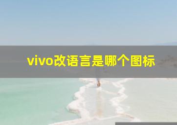 vivo改语言是哪个图标