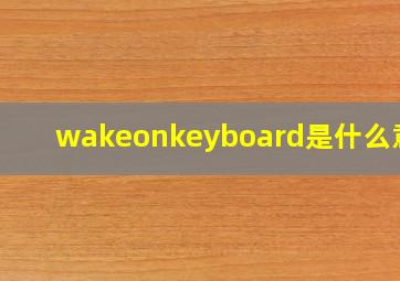 wakeonkeyboard是什么意思