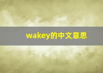 wakey的中文意思