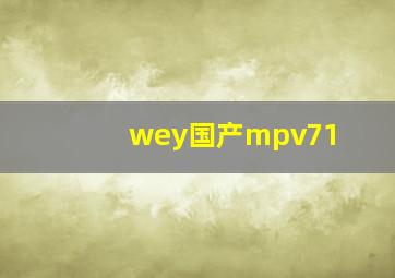 wey国产mpv71