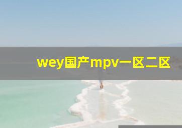 wey国产mpv一区二区