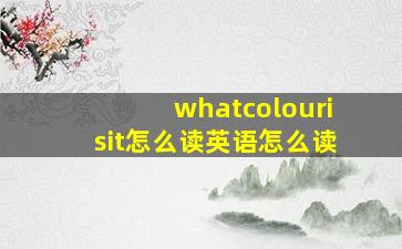 whatcolourisit怎么读英语怎么读