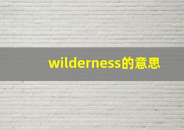 wilderness的意思