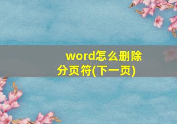 word怎么删除分页符(下一页)