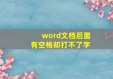 word文档后面有空格却打不了字