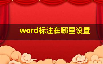 word标注在哪里设置