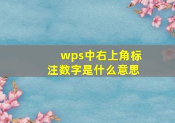 wps中右上角标注数字是什么意思