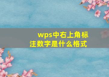 wps中右上角标注数字是什么格式