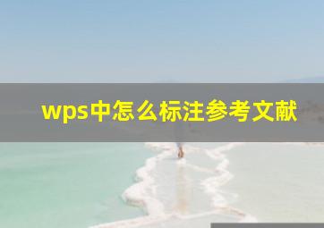 wps中怎么标注参考文献