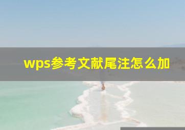 wps参考文献尾注怎么加