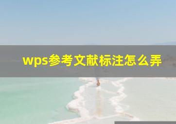 wps参考文献标注怎么弄