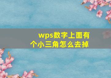 wps数字上面有个小三角怎么去掉