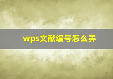 wps文献编号怎么弄