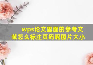 wps论文里面的参考文献怎么标注页码呢图片大小