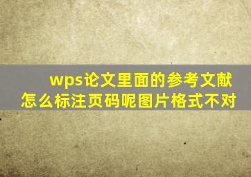 wps论文里面的参考文献怎么标注页码呢图片格式不对