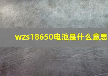 wzs18650电池是什么意思