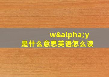 wαy是什么意思英语怎么读