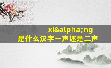 xiαng是什么汉字一声还是二声