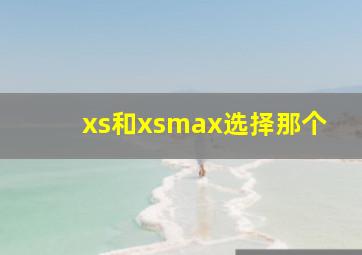 xs和xsmax选择那个