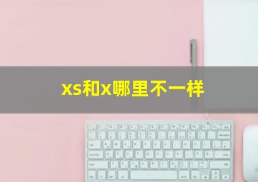 xs和x哪里不一样