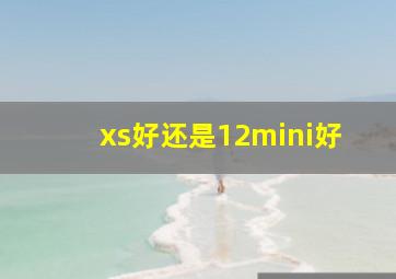 xs好还是12mini好