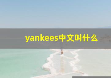 yankees中文叫什么