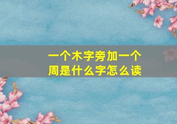 一个木字旁加一个周是什么字怎么读