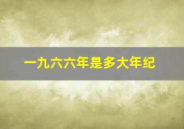 一九六六年是多大年纪