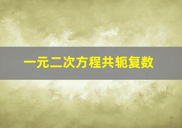 一元二次方程共轭复数