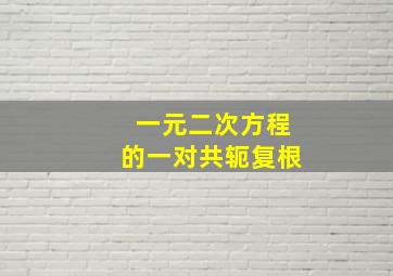 一元二次方程的一对共轭复根