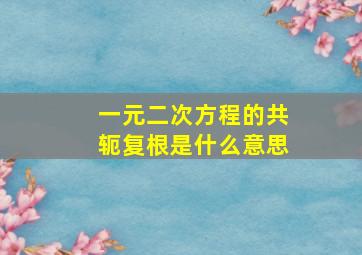 一元二次方程的共轭复根是什么意思