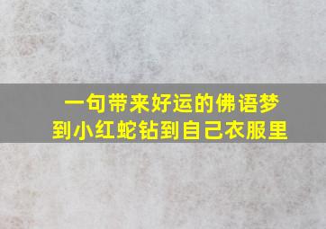 一句带来好运的佛语梦到小红蛇钻到自己衣服里