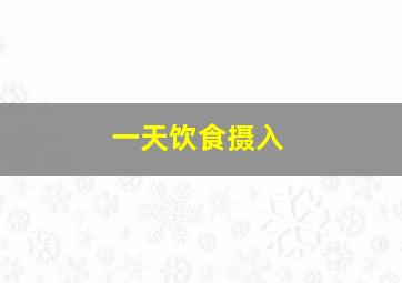 一天饮食摄入