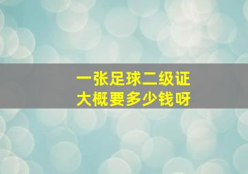 一张足球二级证大概要多少钱呀