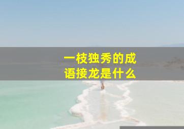 一枝独秀的成语接龙是什么